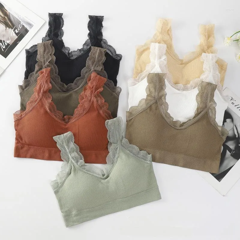 Camisoles Tanks 여성의 섹시한 레이스 Bralette 단색 뜨개질 리브 베드 카미솔 무선 패딩 스포츠 속옷 소매 소매가 스트리트웨어