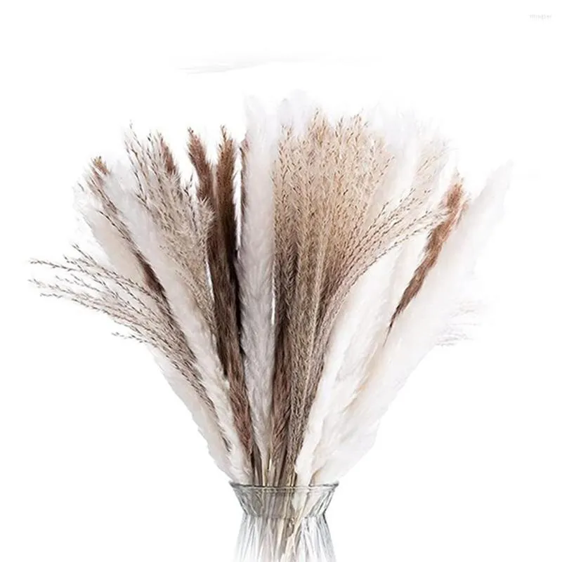 Dekorativa blommor 60st Natural Dried Pampas Grass 20 PCS White Brown Reed Boho Decor Wedding