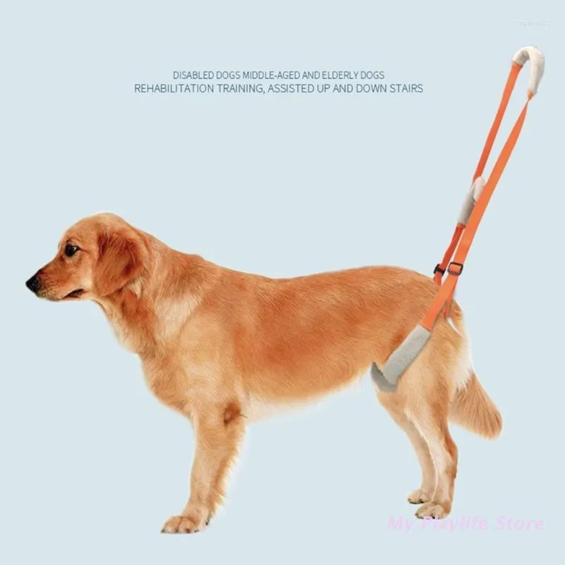 Dog Collars Pet Rear Legs Support Harness For Lifting Aid With Handle Great Mobility And Older Dogs Comfortable Material