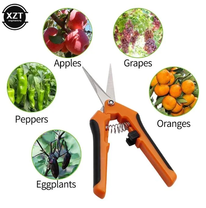 Outils de jardin sécateur bonsaï cisailles métal jardinage ciseaux élagage outil coupe-main fruits cueillette mauvaises herbes ménage en pot 1PC