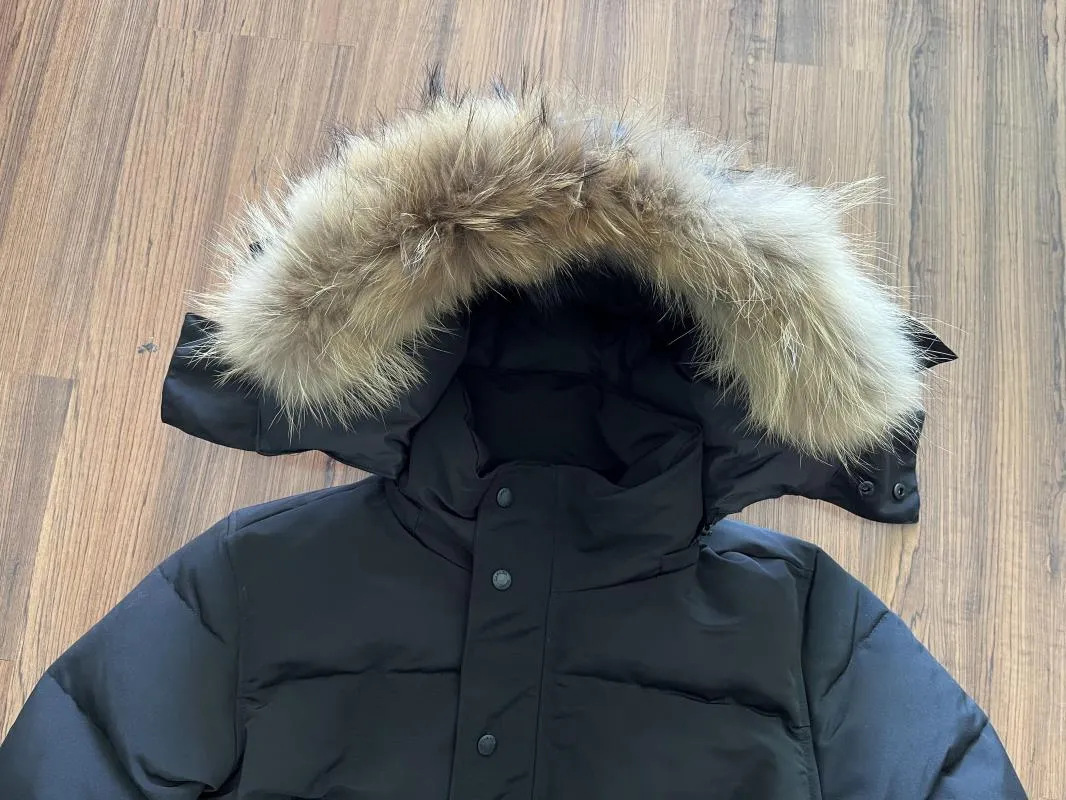 Designer Coyote Fur Wolf Hooded Windbreaker For Outdoor Activities Fourrure Manteau Canada Wyndham Baby Winter Coat With Fur Hiver Parka Doudoune From Eufashion 45.23 DHgate.Com