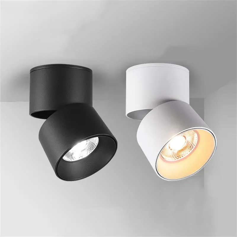 Downlight Faretto da incasso a LED a montaggio superficiale 5W 10W 30W 40W Lampade da soffitto regolabili ad angolo Cucina Bagno Foyer Corridoio Decor SpotlightDownlight