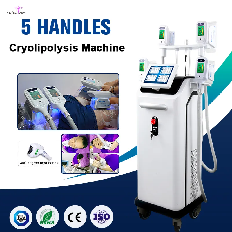 Cryo Body Graping Machine Cryolipopolysis 지방 손실 이중 턱 제거 과체중 2 년 보증을위한 큰 손잡이