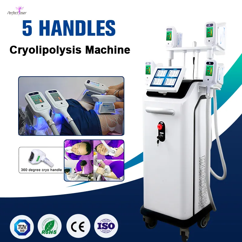 5 Gireaux Fat Gelling Slimming Vacuum Cryolipolyse Machine Fat Freeze Perte de poids CE FDA approuvé