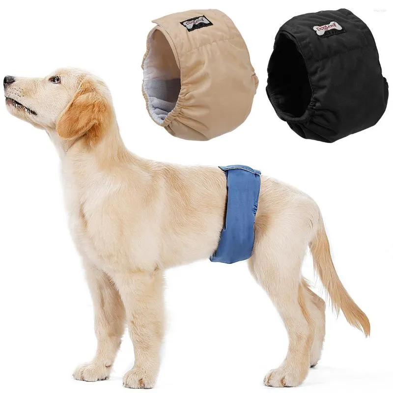 Hundkläder manlig fysiologisk bälte blöjor magskydd teddy gyllene retriever vattentäta underbyxor husdjur sanitära byxor