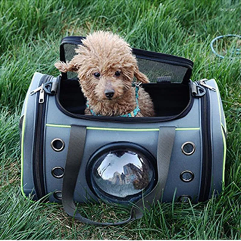 Hundbilsäte täcker husdjur som bär fodral Bag Bekväm rymd bärbar katthandväska andas ut rembärare resor