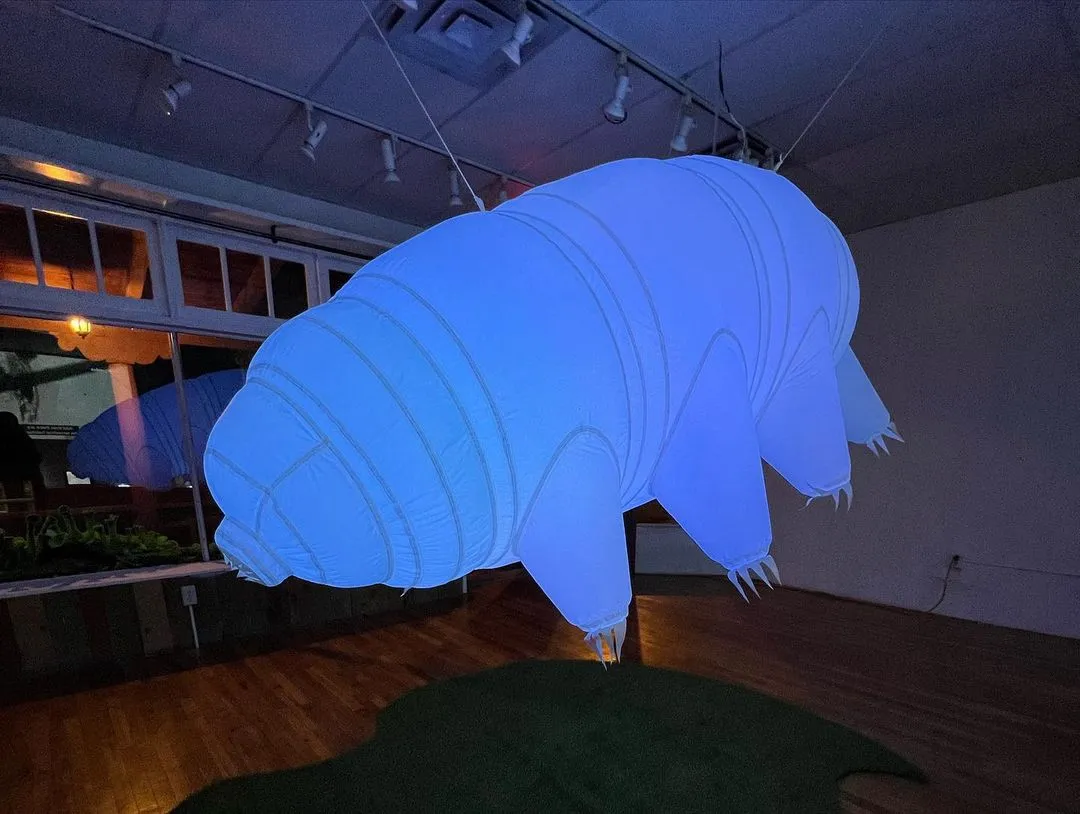 Ballon gonflable animal à mouvement lent Inflatables tardigrade avec bande de LED et ventilateur pour la décoration de Noël de Noël