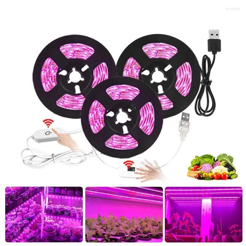 Выращивать светодиодные светодиодные фитолампы для растений 0,5 м 1 м 2 м 3 м 2835 SMD DC 5V USB Phyto Seames Flowers Greenhouses Hydroponic