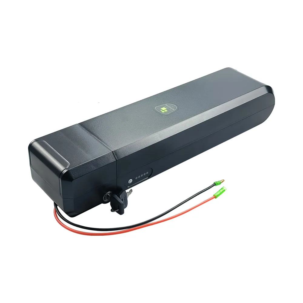 Songxia-IV achterste rekbatterij 48V 10.4AH 12AH 13AH 14AH 250W 350W 500W 750W voor elektrische fiets met oplader