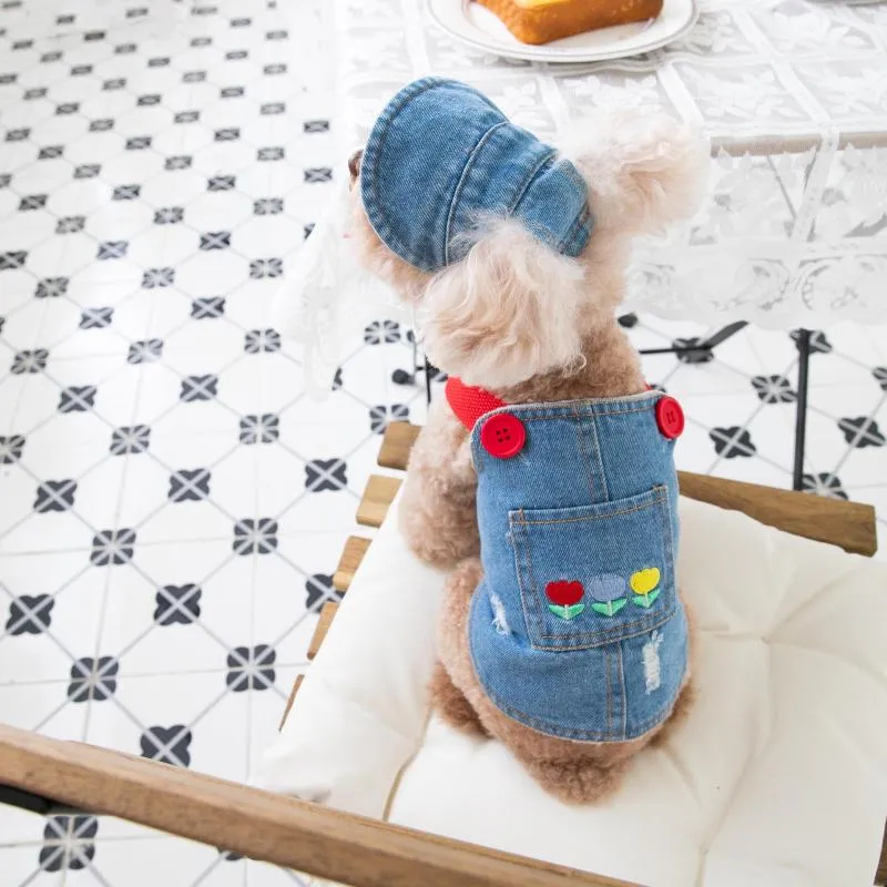 Abbigliamento per cani Autunno Inverno Vestiti per animali domestici Abito in denim a tulipano Set di cappelli ricamati in 2 pezzi Tuta sportiva Abbigliamento per gatti con orsacchiotto