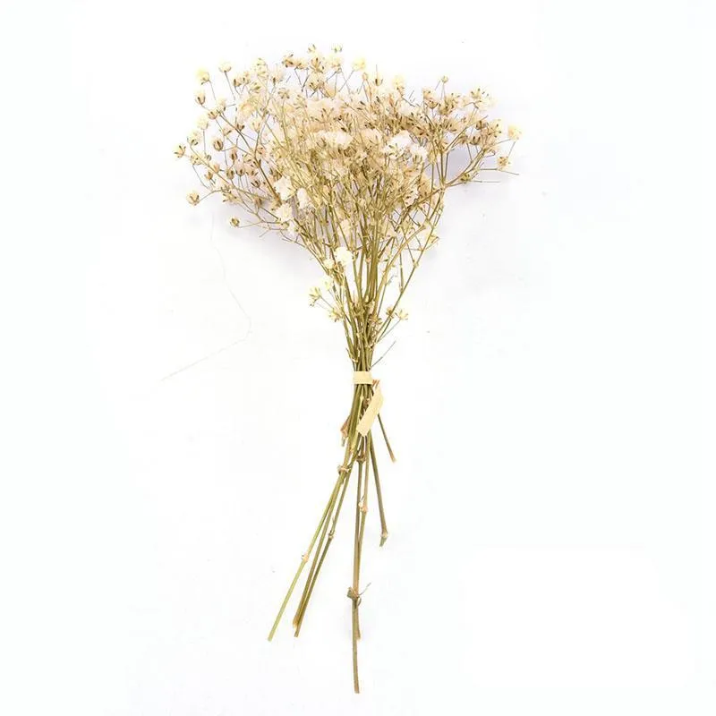 زهور الزهور الزهور أكاليل 1/3 مصغرة باقة babysbreath النباتات الطبيعية تحافظ