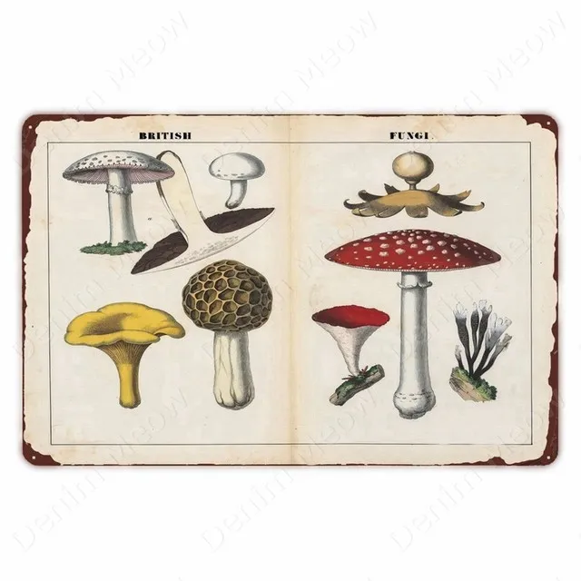 Britimes Targa Decorativa In Metallo Con Fiori Selvatici Astratti, Dimensioni 20x30 Cm, Stile Retrò Vintage, Decorazione Da Parete Per Cucina, Soggiorno, Bar, Resistente Alle Intemperie