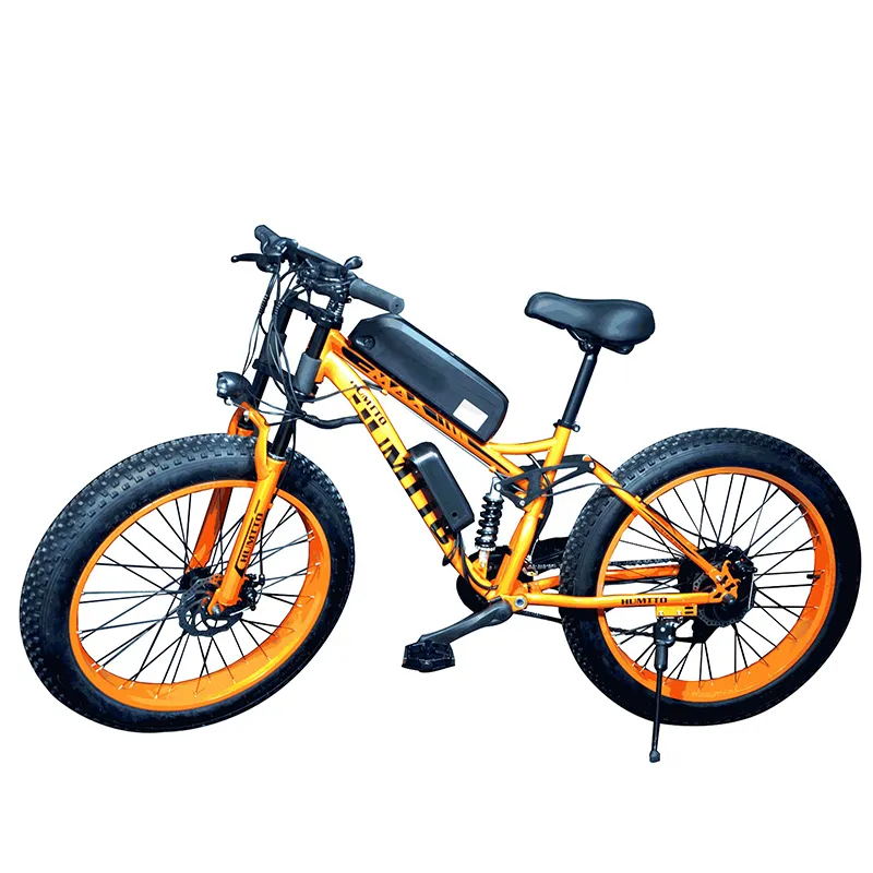Electric bicycle on sale prices