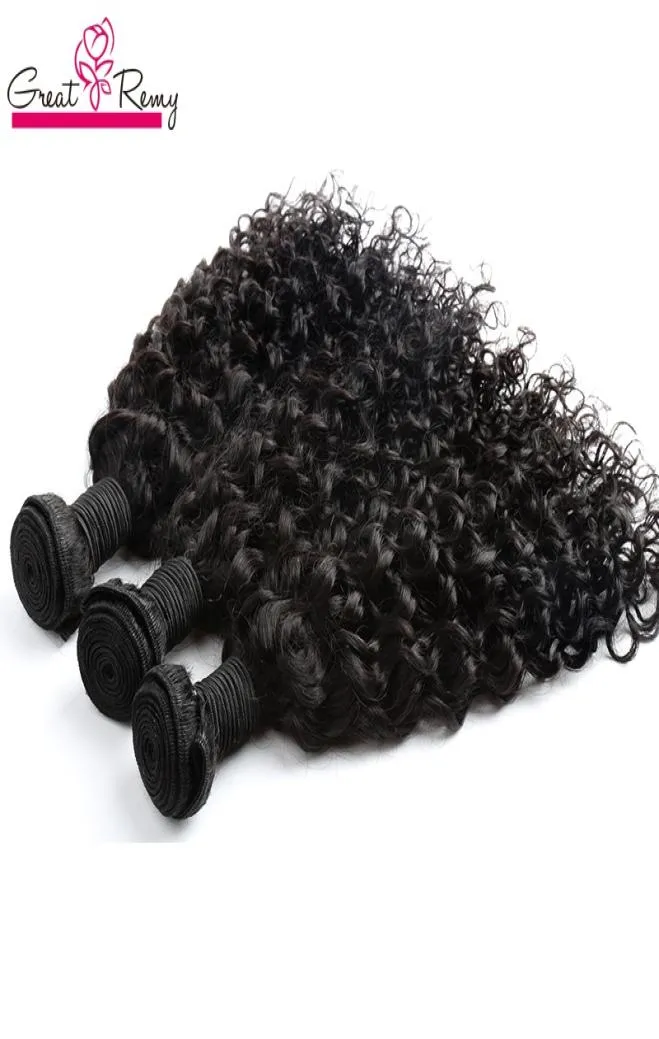水波ブラジルの髪の拡張ビッグカーリー100未加工の処女人間の髪のバンドル3pcslot染色可能な海の髪織り織りGre3546430