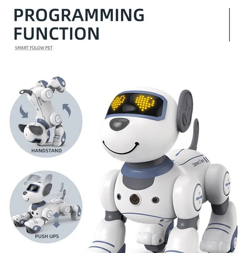 Jouet de robot intelligent pour enfants, télécommande interactive pour  animal de compagnie avec talkie-walkie et programme rc sans fil