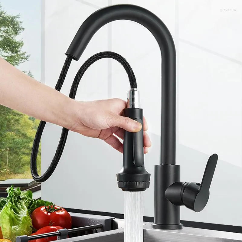 Bathroom Sink Faucets Kitchen Faucet Black Pull Out Deck Mounted Stream Sprayer Mixer Tap Cold Water