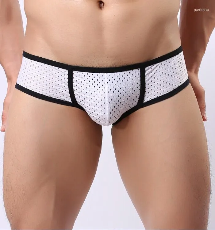 Unterhosen Homosexuell Männer Sexy Atmungsaktive Slips Männliche Low-rise Bikini Unterwäsche Mesh Kurze Hohe Qualität ShortsUnderpants