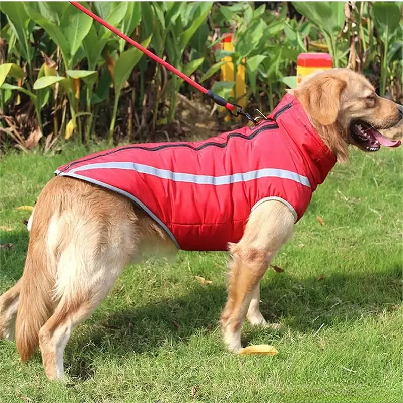 Cheap 2024 dog apparel