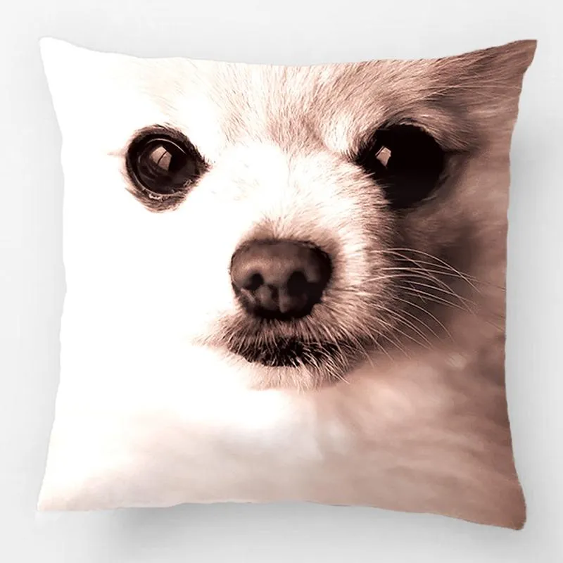 Pillow Precious Pomeranian Accent Wedding Decorative Cover Case Customize Gift By Lvsure For Car Sofa Seat Pillowcase /Decora