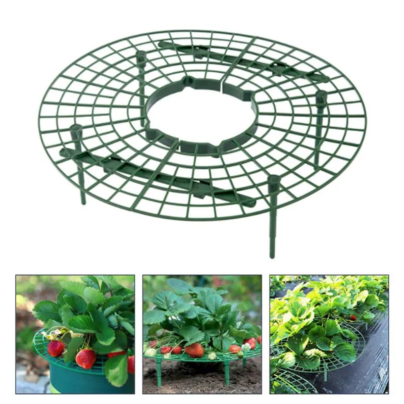 Suprimentos de jardim Outros 5pcs Plant Trellis Pacotes Ferramentas de jardinagem suporta rack