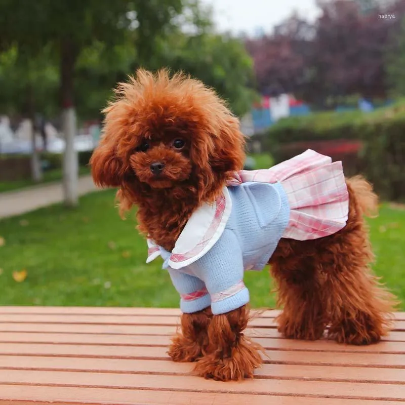 Vestido de vestuário de vestuário jk roupas de estimação de animais de estimação para cães pequenos de inverno no estilo ocidental