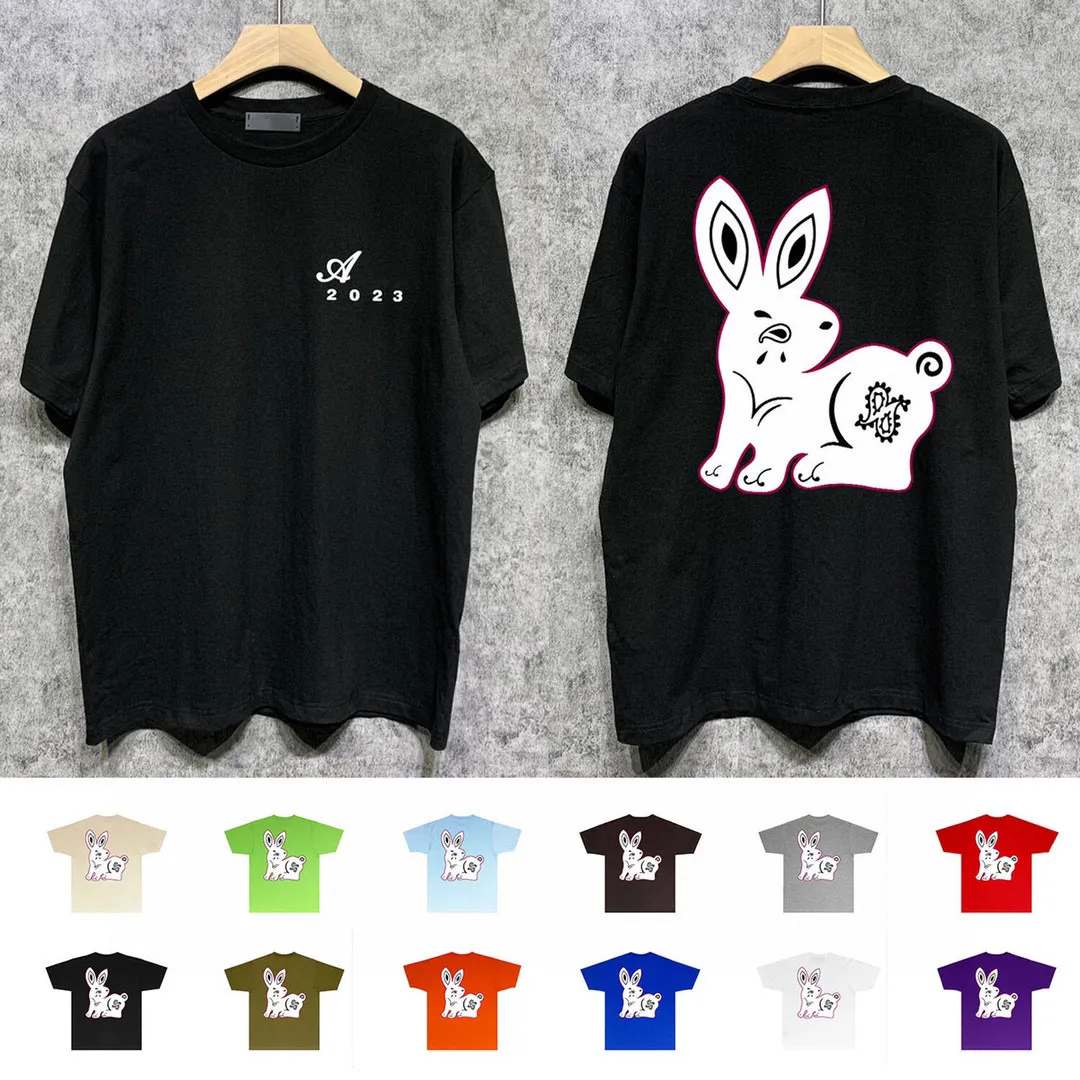 2023 Herr T-shirts Modedesigner T-shirts Herr Sommar T-shirts Kort ärm 11 färger personlighet kanin Herrkläder S-2XL