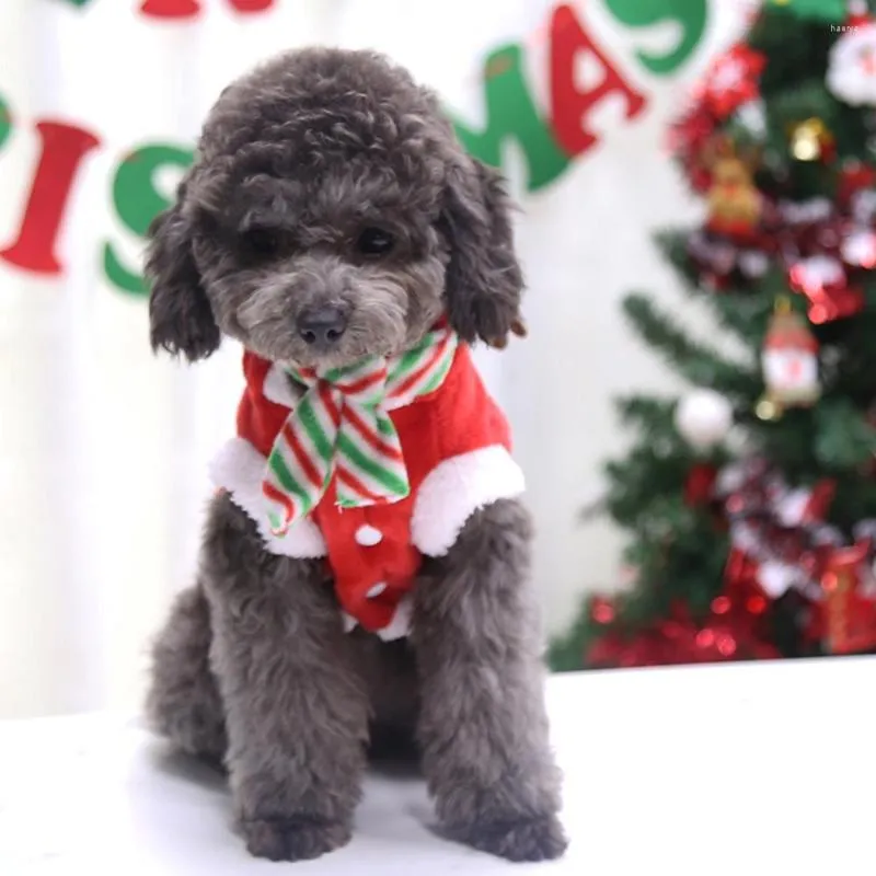 Abbigliamento per cani Vestiti per animali domestici Costume da alce per gatti Natale per cani di taglia piccola e media Abbigliamento caldo per cappotti da festival