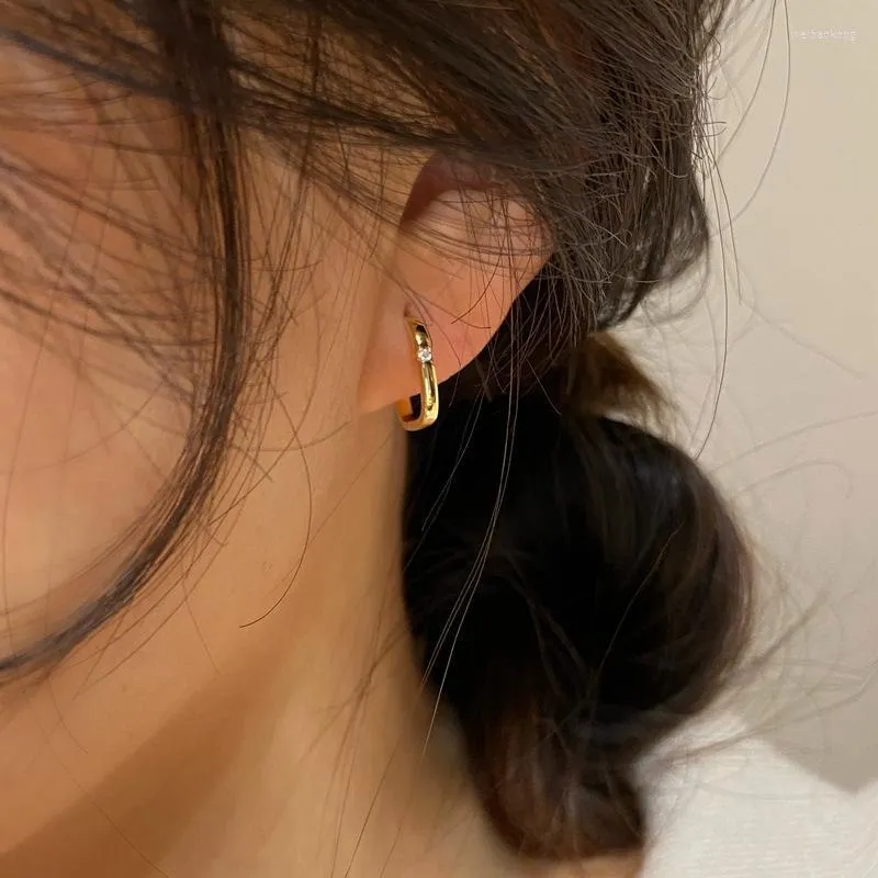 Hoop Earrings Gold And Silver Color Geometric Oval Earring Prevent Allergy Small Cubiz Zircon For Women Hip-Hop Jewelry Gifts