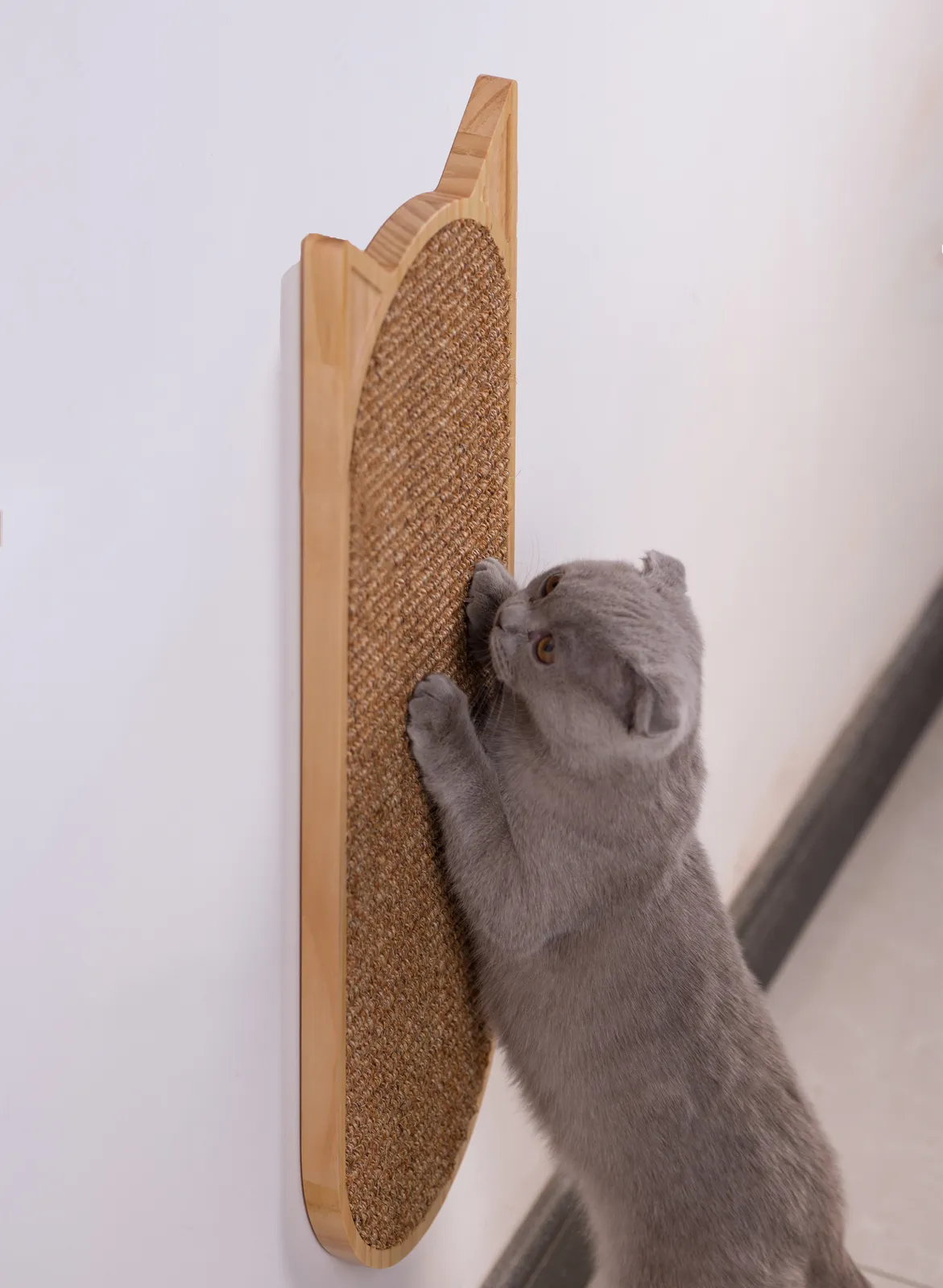 Cat scratching post near me 2025