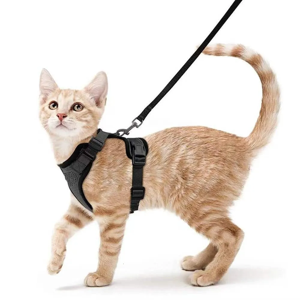 Cat-kragen leidt verstelbare harness vest-stijl riem om te voorkomen dat pauze vrij is voor kleine hondenborstriem s Pet Easy Control Leow 230227