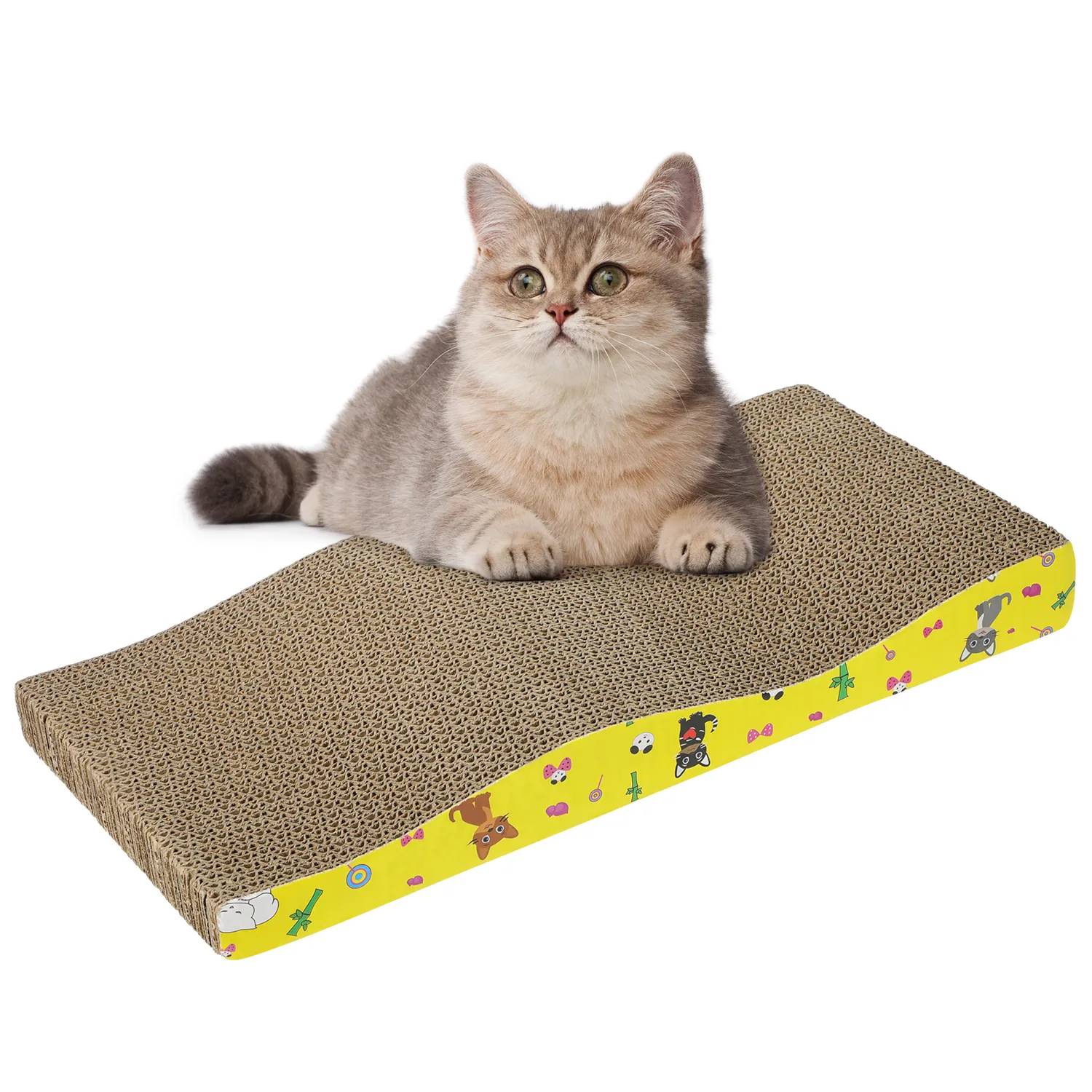 Cat Furniture Scratchers Creative Scratching Board Mat Scraper Claw Paw Toy for Scratcher Equipment Kitten Product Abreaktion Protector 230227