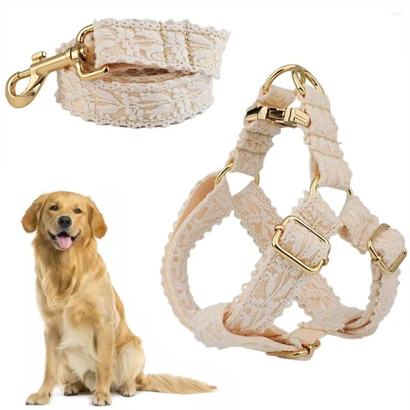 Colliers pour chiens collier en dentelle ensemble laisse réglable pour petits moyens grands chiens accessoire pour animaux de compagnie personnalisé harnais de costume épais