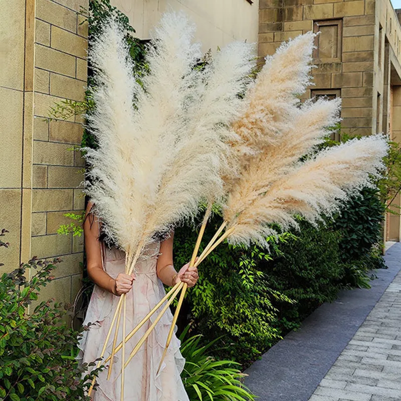 装飾的な花の花輪120cm天然乾燥花パンパスグラス自由hoh装置の家庭装飾結婚式の装飾農場背景230227