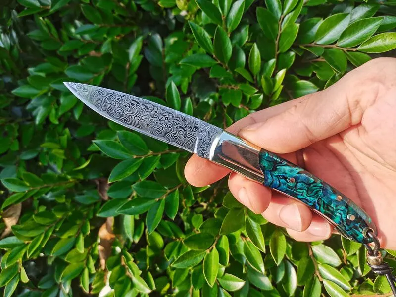 Speciale aanbieding H2376 Vouwmesmes 67 lagen VG10 Damascus Steel Blade Abalone Shell Wtih Brass Handhend