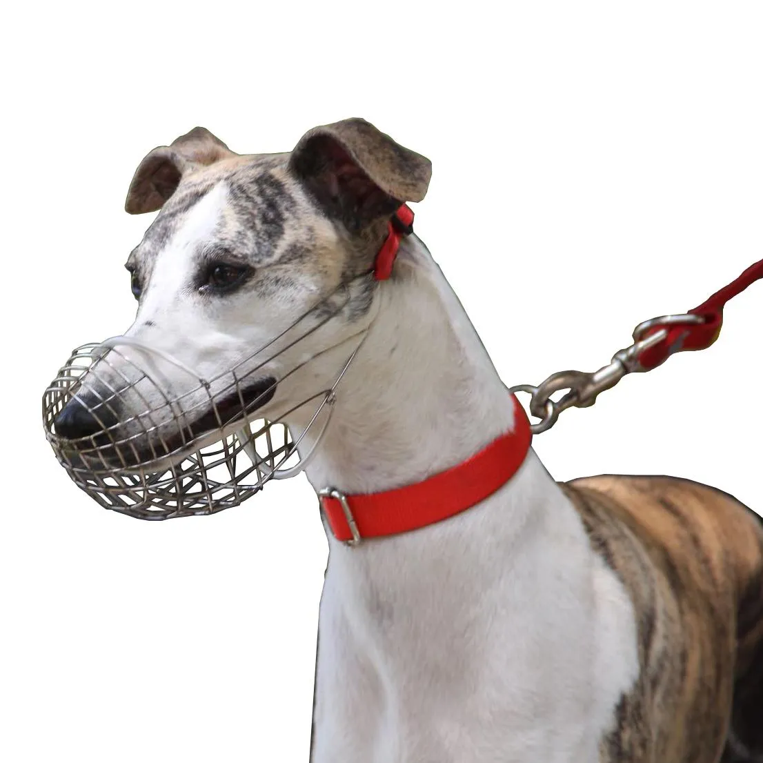 Muzzles Wire Basket Dog Mune för Greyhound Justerbar rostfritt stålkorg nos för små medelstora stora hundar
