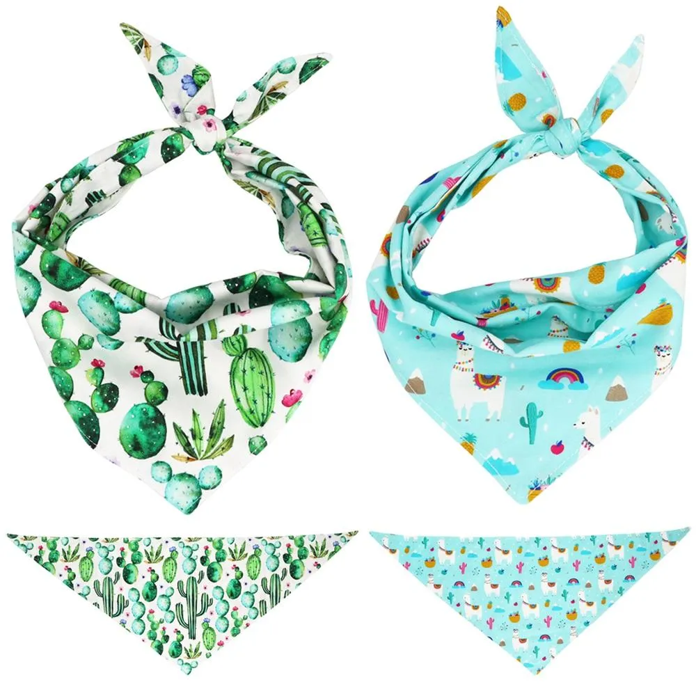 Accessoires cacti chien bandana réversible bandana lie sur bandana dog scarf animal de compagnie accessoire pour cadeaux