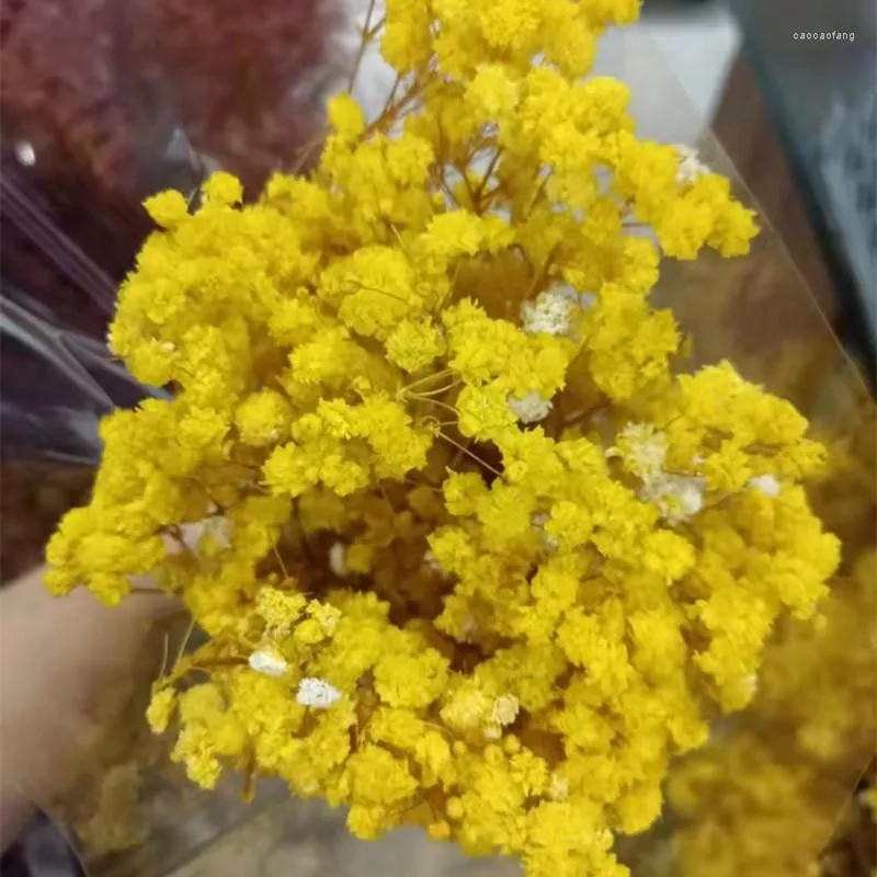 Dekorativa blommor Immortal Torked Gypsophila gör vackra buketter av färgglada naturliga alla hjärtans dag gåvor heminredning