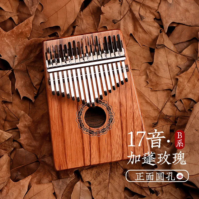 Plaque Darc De Piano À Pouce Gabon Rose Kalimba 17 Touches Instrument De  Musique Débutant Avec Étui Pour Piano À Doigts Pour Cadeaux Du 69,28 €