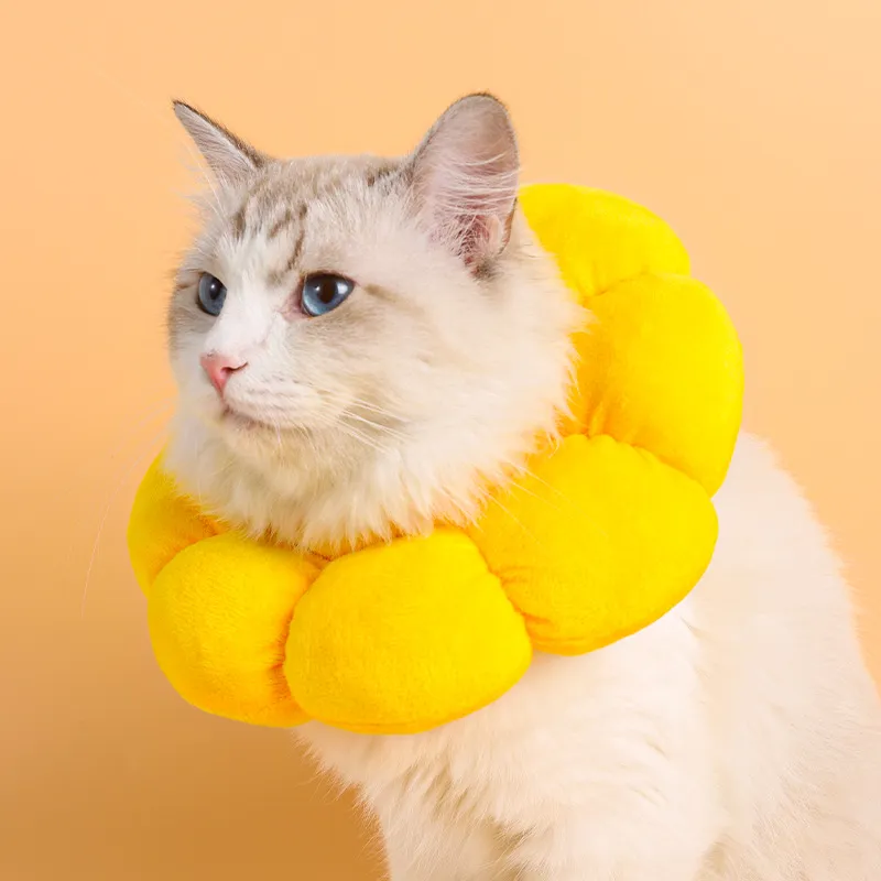 Collier de récupération pour chat et petit chien Collier en forme de cône de cou de tournesol mignon pour animal de compagnie réglable, cicatrisation des plaies