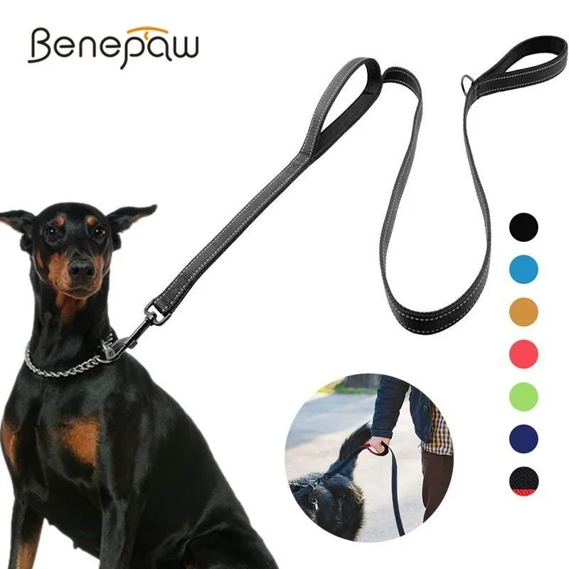 Leinen Benepaw Reflektierende gepolsterte Hundeleine mit zwei Griffen, langlebig, für kleine, mittelgroße und große Hunde, Haustier-Trainingsleine, Nylonleine, 7 Farben