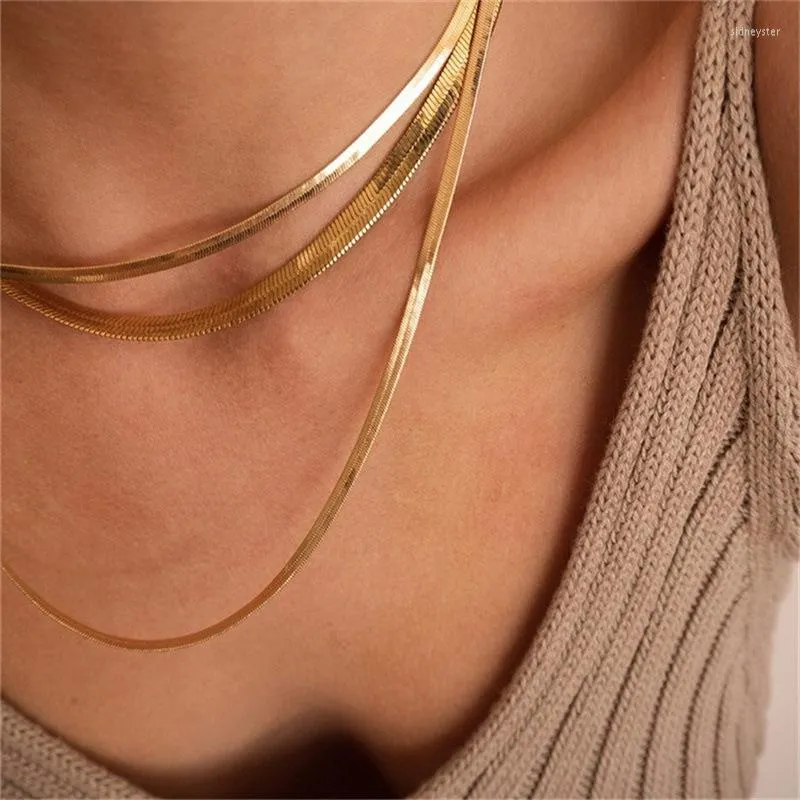 Choker 2mm till 5 mm sillbenskedja halsband för kvinnor guld färg tjockt vattentätt rostfritt stål smycken män gåva pojkvän