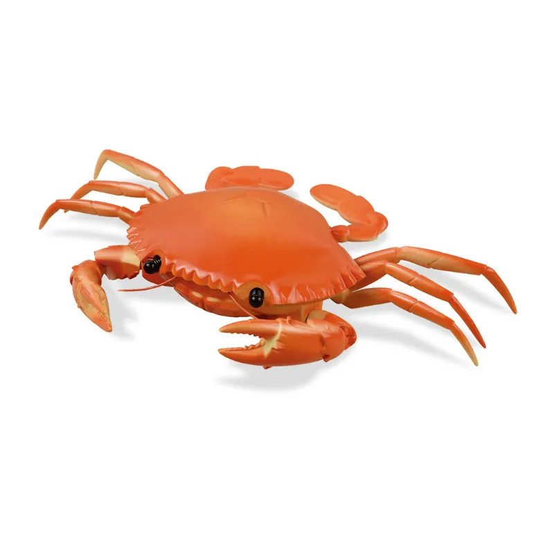 RC Crabe Jouet Télécommande Animal Voiture Véhicule Électronique