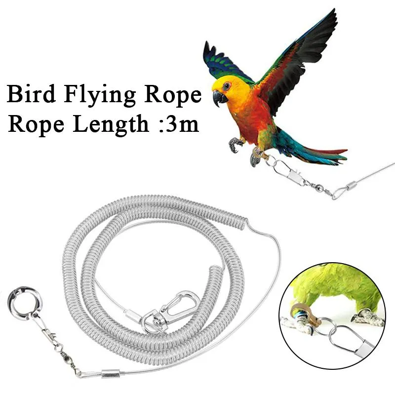 Formation Laisse d'entraînement Corde volante Fournitures pour perroquets Fournitures pour oiseaux Bracelet de cheville pour perroquet Bracelet de cheville pour oiseau Anneau de jambe ultra léger Câble métallique Chaîne pour oiseaux