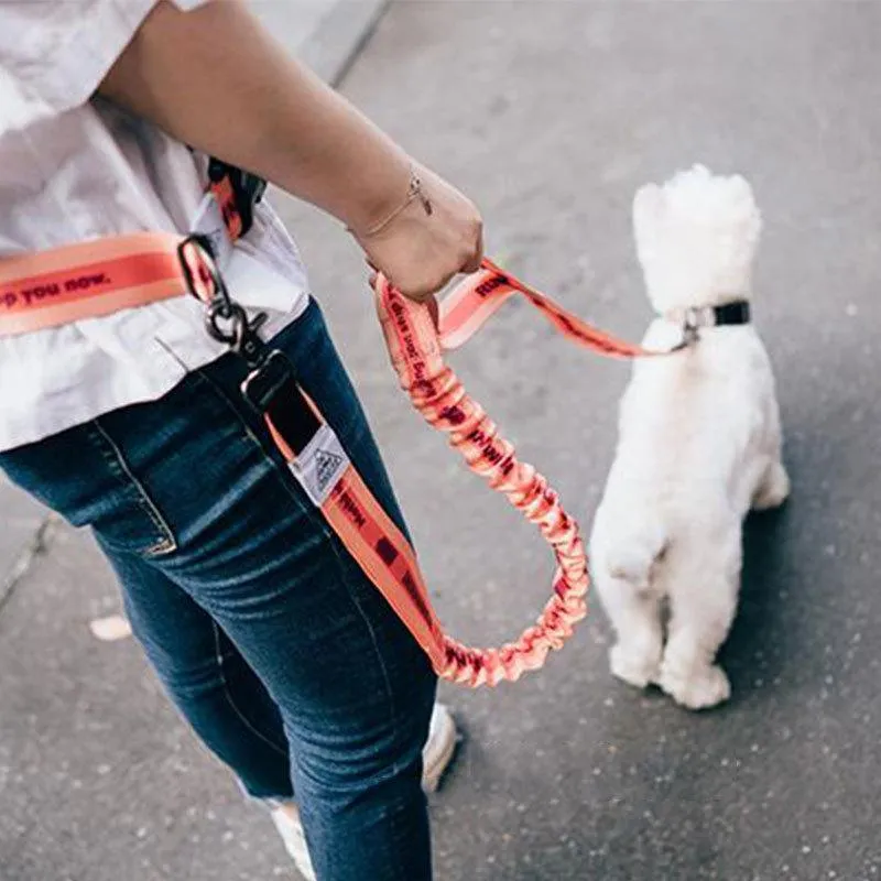 Leidt 2022 Nieuwe verstelbare handvrije hondenriem voor honden huisdieren lopen lopen jogginghond riem aan de taille gordel borstband tractie touw