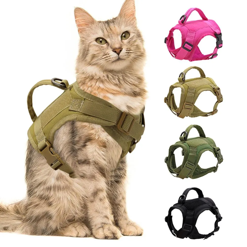 Mène un harnais de chat militaire tactique respirant en mesh animal de compagnie de chiot animal