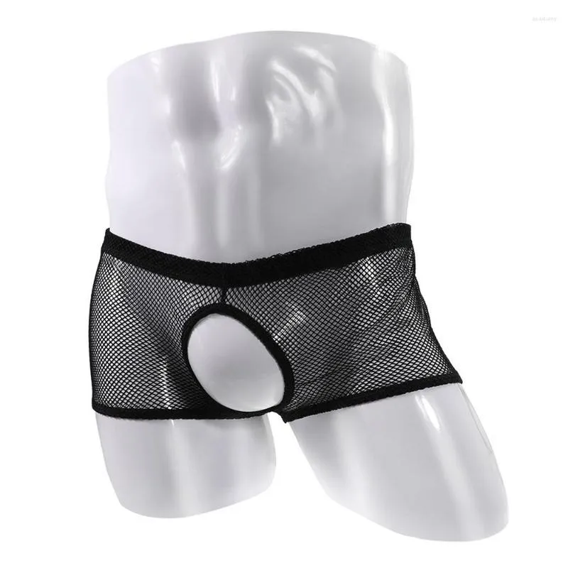 Caleçon ouvert entrejambe Boxer slips hommes maille voir à travers les sous-vêtements porno culotte exposée bite fesses nues Shorts