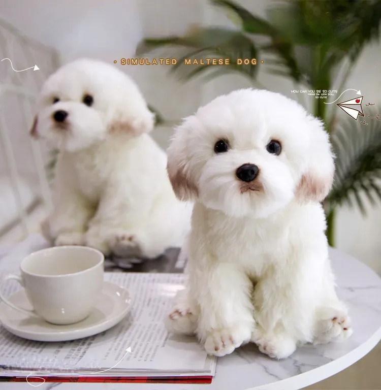 Emulational Maltese Doll Ornament Two Sizes Optional White and Cute Dog Plush Toy