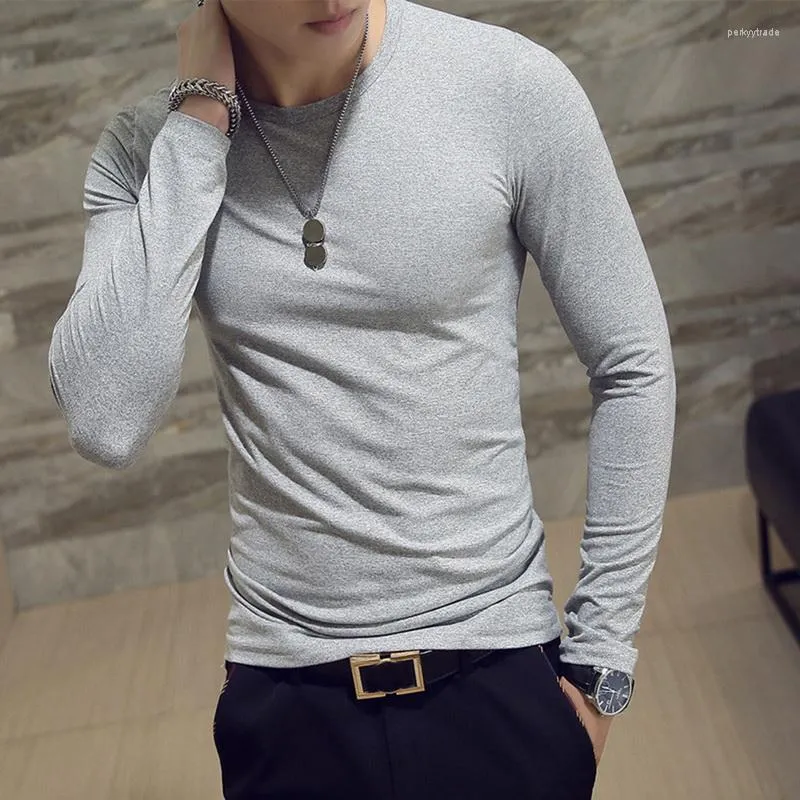 lycra t shirts mens