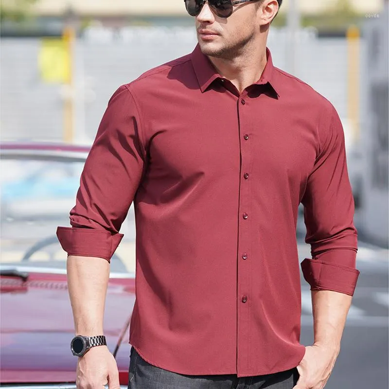 Camisas informales de gran tamaño para hombre, camisa Formal de manga larga  para hombre, blusas de vestir elegantes, ropa de negocios Normal de lujo