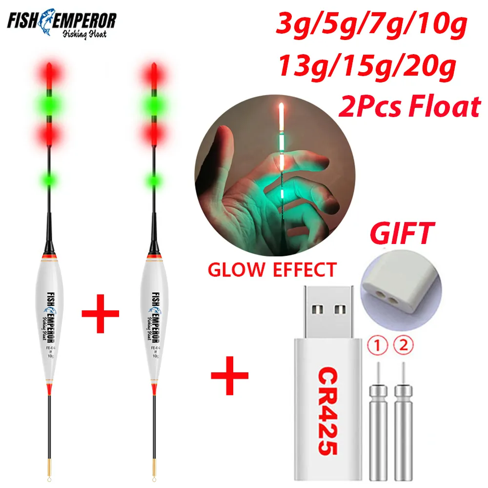 Fishing Accessories 2Pcs Fishing Float Set 3g5g7g10g13g15g20g Led Luminous FloatCR425 Charger Battery Fishing at Night Carp Summer 230603